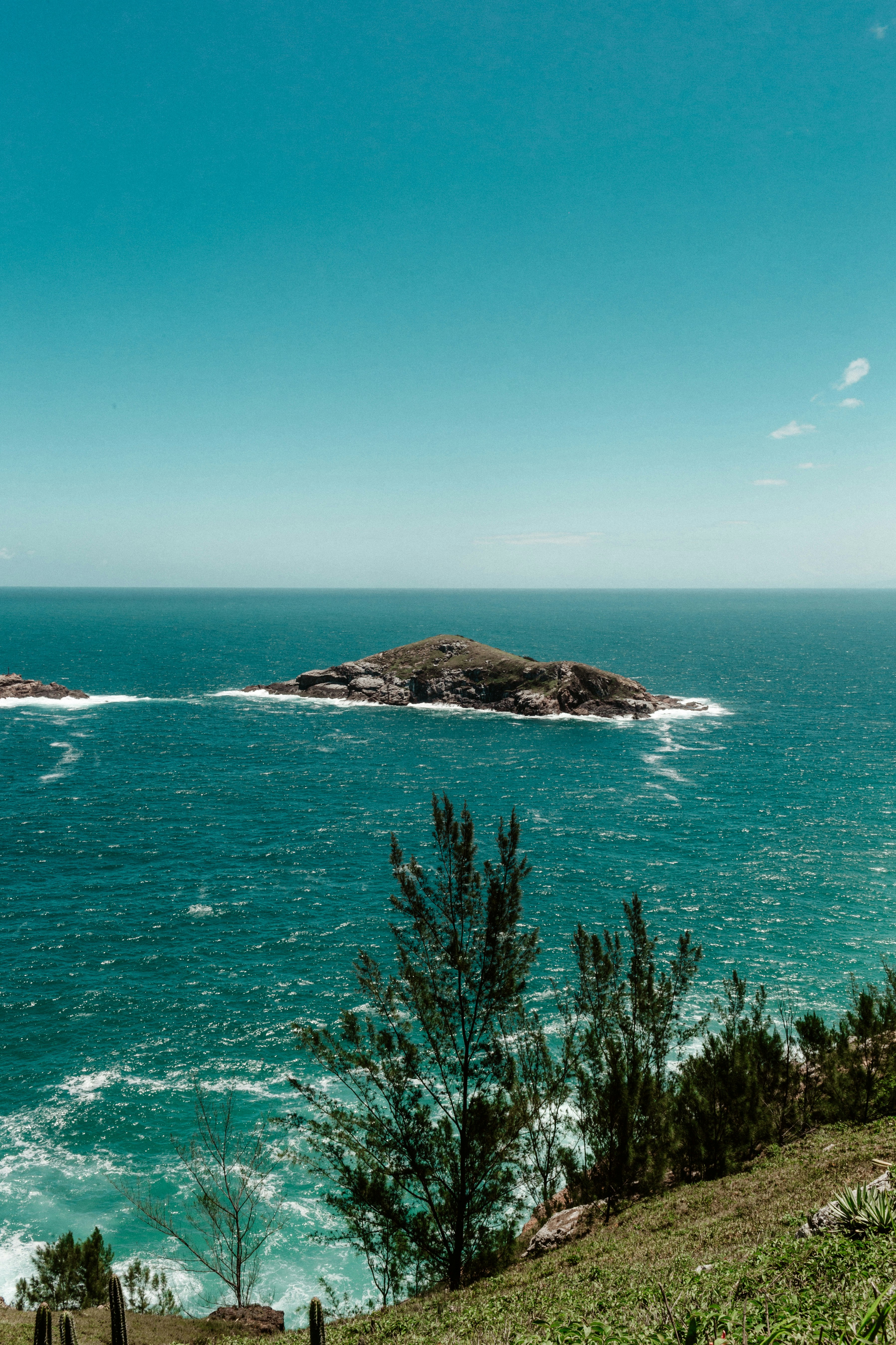 green trees on island surrounded by blue sea under blue sky during daytime